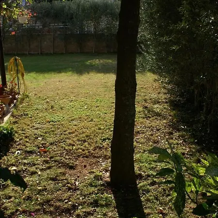 Double 4041d 3* 耶尔萨